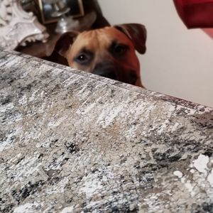 Meet your Posher, Todd